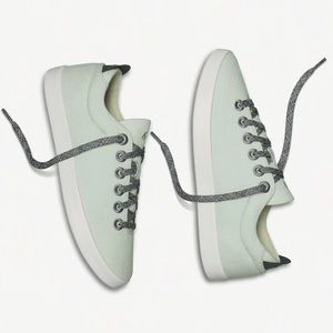 Limited Edition AllBirds Sneakers